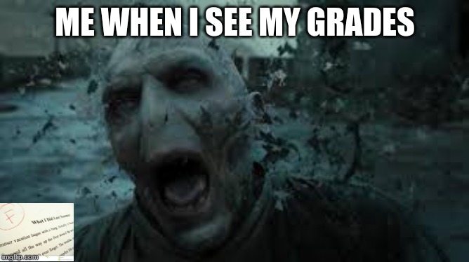 Me when grades come. | ME WHEN I SEE MY GRADES | image tagged in funny | made w/ Imgflip meme maker