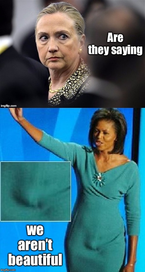 Are they saying we aren’t beautiful | image tagged in michelle obama has a penis,upset hillary | made w/ Imgflip meme maker