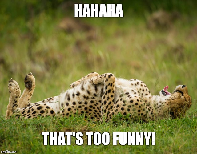 LAUGHING HARD LEOPARD | HAHAHA THAT'S TOO FUNNY! | image tagged in laughing hard leopard | made w/ Imgflip meme maker