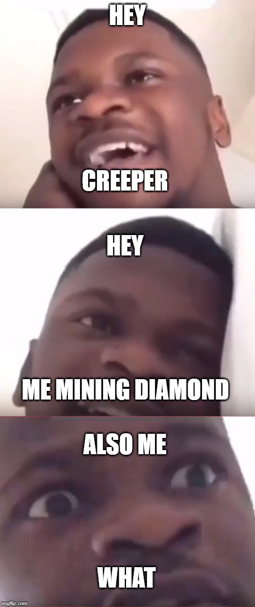 basic thing when mining | HEY; CREEPER; HEY; ME MINING DIAMOND; ALSO ME; WHAT | image tagged in minecraft | made w/ Imgflip meme maker