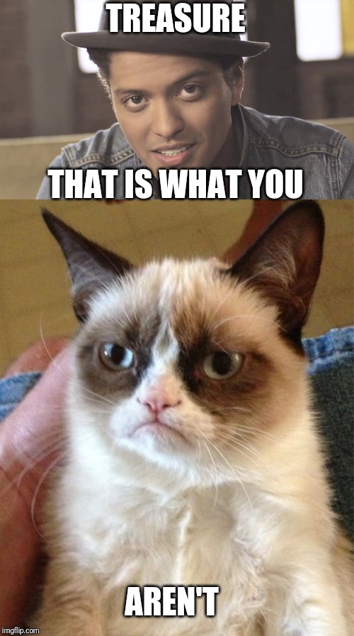 TREASURE; THAT IS WHAT YOU; AREN'T | image tagged in memes,grumpy cat,bruno mars | made w/ Imgflip meme maker