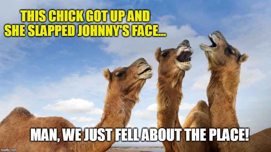 The boys are back in town! | THIS CHICK GOT UP AND SHE SLAPPED JOHNNY'S FACE... MAN, WE JUST FELL ABOUT THE PLACE! | image tagged in laughing camels,the boys,funny memes,80s music,humor | made w/ Imgflip meme maker