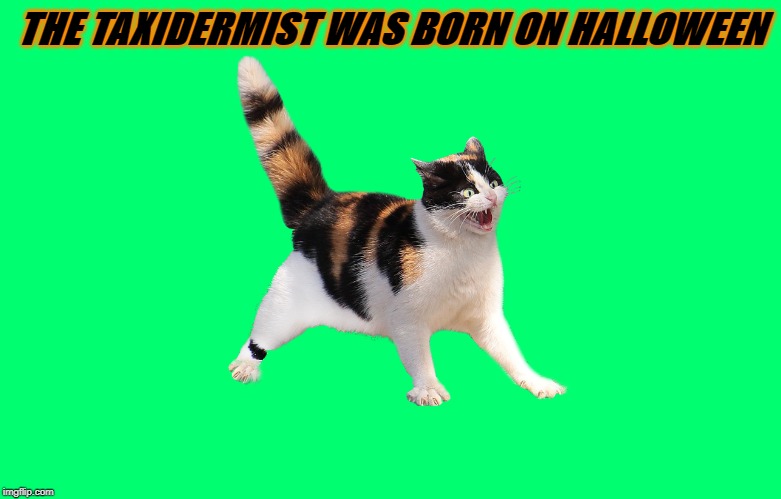 taxidermist born oct. 31st | THE TAXIDERMIST WAS BORN ON HALLOWEEN | image tagged in taxidermist born oct 31st | made w/ Imgflip meme maker