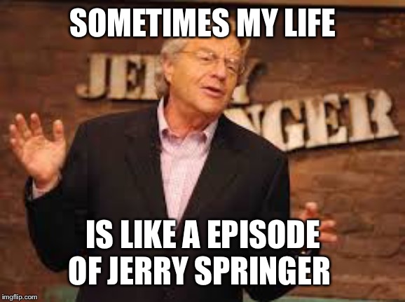 jerry springer | SOMETIMES MY LIFE; IS LIKE A EPISODE OF JERRY SPRINGER | image tagged in jerry springer | made w/ Imgflip meme maker