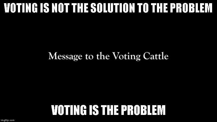 Voting is not the Solution to our problem, Voting is the Problem! | VOTING IS NOT THE SOLUTION TO THE PROBLEM; VOTING IS THE PROBLEM | image tagged in voter fraud | made w/ Imgflip meme maker