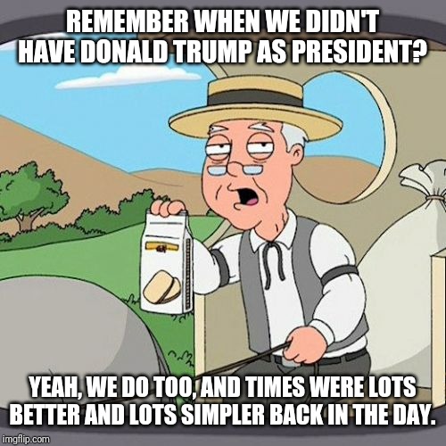 For me things were simpler back then because we didn't have Trump back then.. instead sadly now we do have him | REMEMBER WHEN WE DIDN'T HAVE DONALD TRUMP AS PRESIDENT? YEAH, WE DO TOO, AND TIMES WERE LOTS BETTER AND LOTS SIMPLER BACK IN THE DAY. | image tagged in memes,pepperidge farm remembers | made w/ Imgflip meme maker