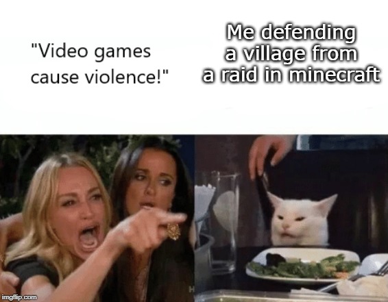 meanwhile im over here being heroic | Me defending a village from a raid in minecraft | image tagged in video games cause violence,minecraft | made w/ Imgflip meme maker