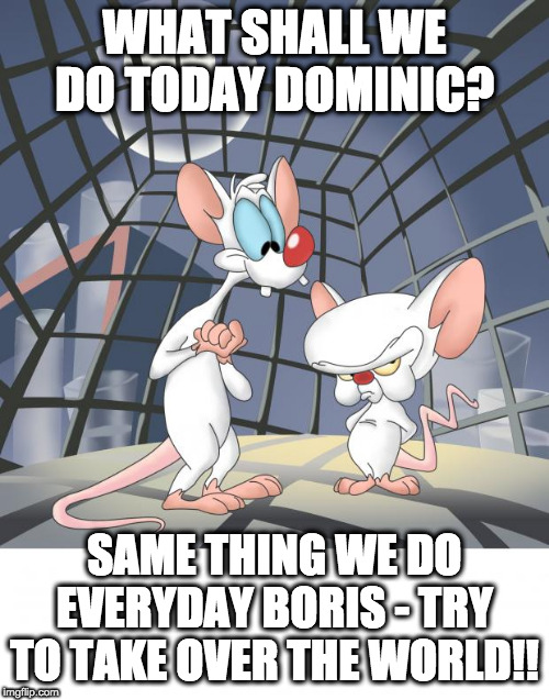 Pinky and the brain | WHAT SHALL WE DO TODAY DOMINIC? SAME THING WE DO EVERYDAY BORIS - TRY TO TAKE OVER THE WORLD!! | image tagged in pinky and the brain | made w/ Imgflip meme maker