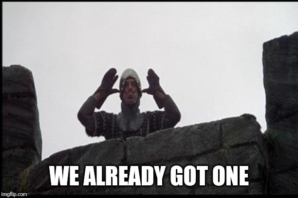 French Taunting in Monty Python's Holy Grail | WE ALREADY GOT ONE | image tagged in french taunting in monty python's holy grail | made w/ Imgflip meme maker