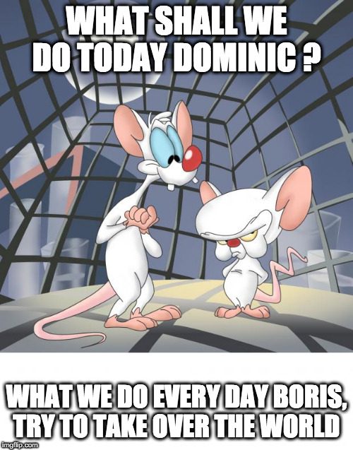 Pinky and the brain | WHAT SHALL WE DO TODAY DOMINIC ? WHAT WE DO EVERY DAY BORIS, TRY TO TAKE OVER THE WORLD | image tagged in pinky and the brain | made w/ Imgflip meme maker