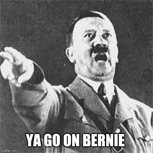 Hitler | YA GO ON BERNIE | image tagged in hitler | made w/ Imgflip meme maker