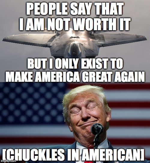 PEOPLE SAY THAT I AM NOT WORTH IT; BUT I ONLY EXIST TO MAKE AMERICA GREAT AGAIN; [CHUCKLES IN AMERICAN] | image tagged in f-22 raptor | made w/ Imgflip meme maker