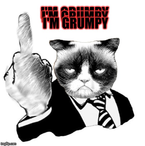 1950's Grumpy Middle Finger | I'M GRUMPY; I'M GRUMPY; I'M GRUMPY | image tagged in memes,funny,photoshop,44colt,grumpy cat,1950's grumpy middle finger | made w/ Imgflip meme maker