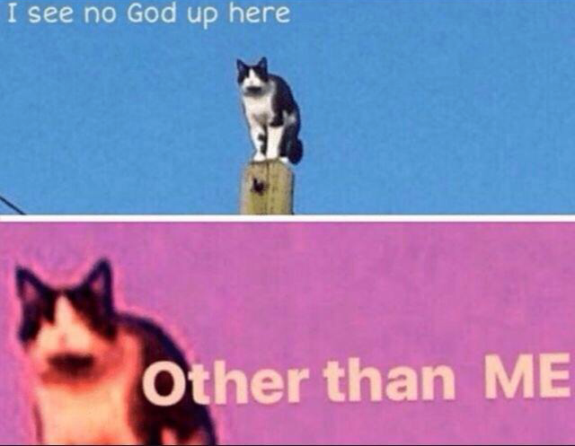 High Quality No god other than me cat Blank Meme Template