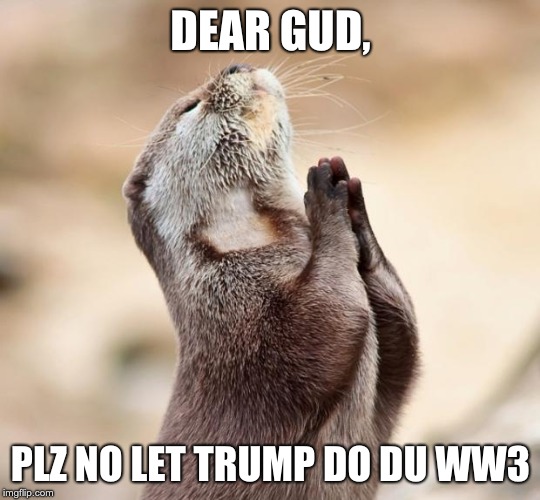 animal praying | DEAR GUD, PLZ NO LET TRUMP DO DU WW3 | image tagged in animal praying | made w/ Imgflip meme maker