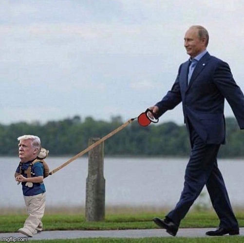 Putin trump leash | image tagged in putin trump leash | made w/ Imgflip meme maker