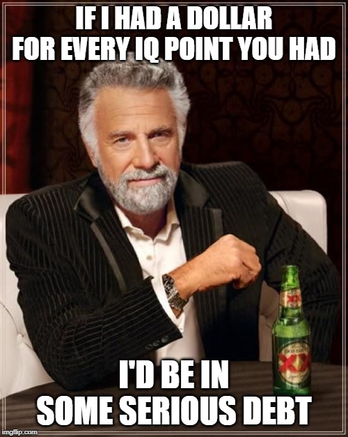 The Most Interesting Man In The World Meme | IF I HAD A DOLLAR FOR EVERY IQ POINT YOU HAD; I'D BE IN SOME SERIOUS DEBT | image tagged in memes,the most interesting man in the world | made w/ Imgflip meme maker