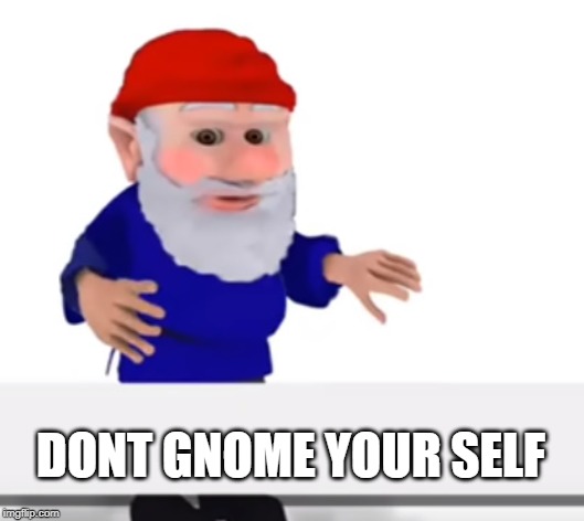 DONT GNOME YOUR SELF | image tagged in gnome | made w/ Imgflip meme maker