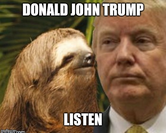 Political advice sloth | DONALD JOHN TRUMP; LISTEN | image tagged in political advice sloth | made w/ Imgflip meme maker