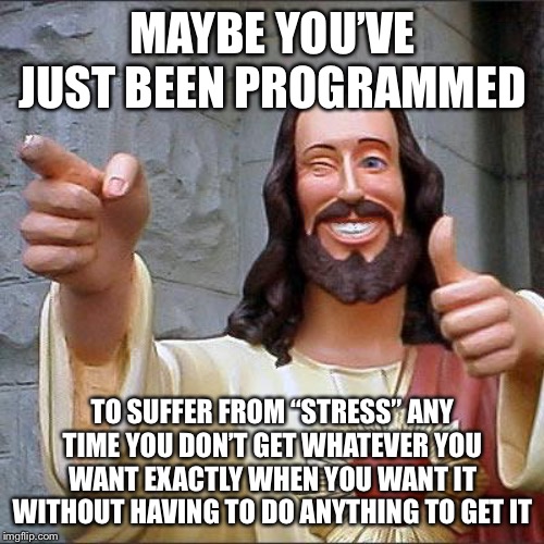 Buddy Christ Meme | MAYBE YOU’VE JUST BEEN PROGRAMMED TO SUFFER FROM “STRESS” ANY TIME YOU DON’T GET WHATEVER YOU WANT EXACTLY WHEN YOU WANT IT WITHOUT HAVING T | image tagged in memes,buddy christ | made w/ Imgflip meme maker