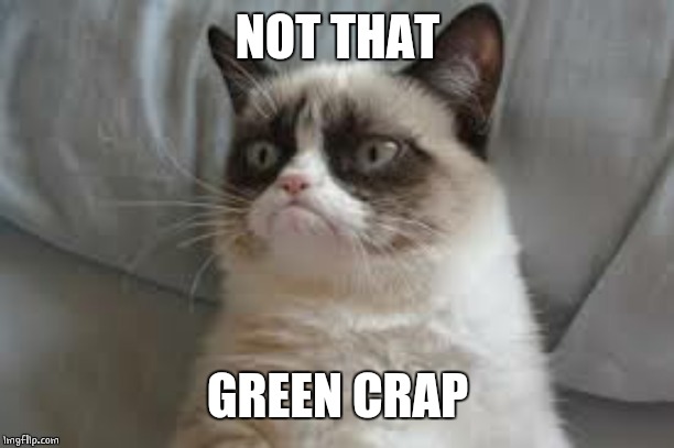 Grumpy cat | NOT THAT GREEN CRAP | image tagged in grumpy cat | made w/ Imgflip meme maker