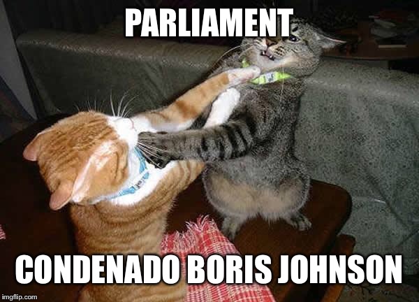 Two cats fighting for real | PARLIAMENT; CONDENADO BORIS JOHNSON | image tagged in two cats fighting for real | made w/ Imgflip meme maker