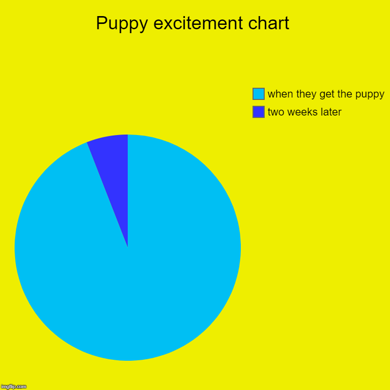 Puppy excitement chart | two weeks later, when they get the puppy | image tagged in charts,pie charts | made w/ Imgflip chart maker