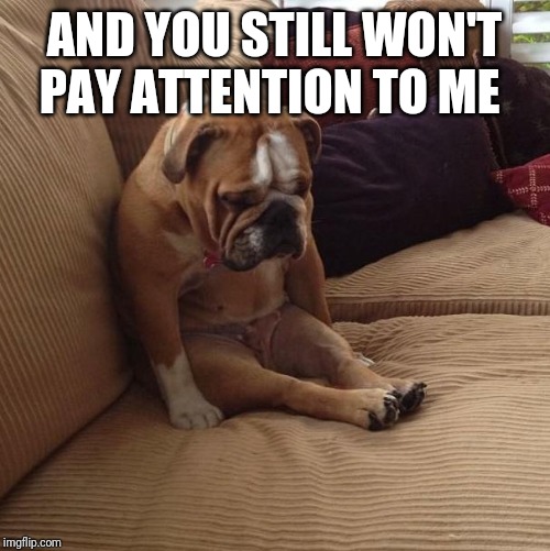 bulldogsad | AND YOU STILL WON'T PAY ATTENTION TO ME | image tagged in bulldogsad | made w/ Imgflip meme maker