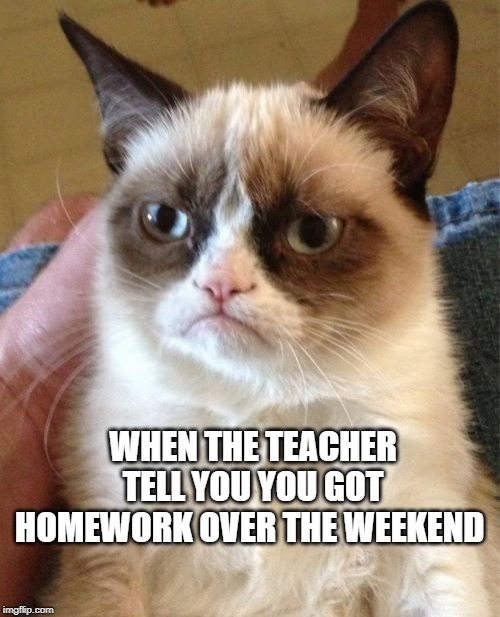 Grumpy Cat Meme | WHEN THE TEACHER TELL YOU YOU GOT HOMEWORK OVER THE WEEKEND | image tagged in memes,grumpy cat | made w/ Imgflip meme maker