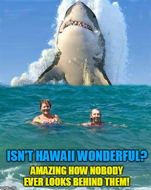 ISN'T HAWAII WONDERFUL? AMAZING HOW NOBODY EVER LOOKS BEHIND THEM! | made w/ Imgflip meme maker