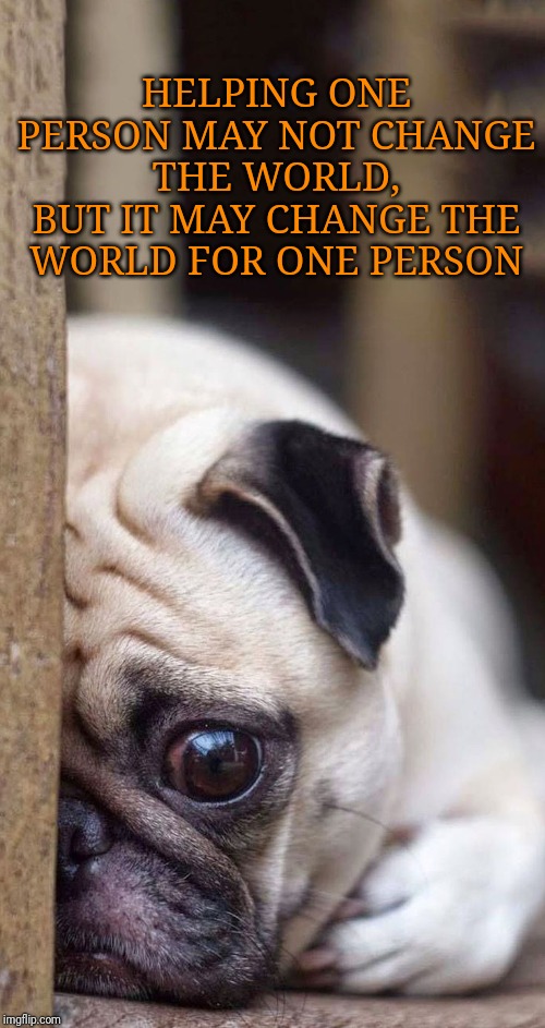 HELPING ONE PERSON MAY NOT CHANGE THE WORLD,
BUT IT MAY CHANGE THE WORLD FOR ONE PERSON | made w/ Imgflip meme maker