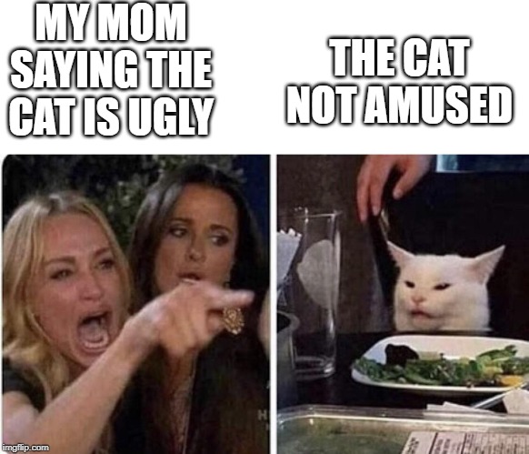 Ladies Yelling at Confused Cat | MY MOM SAYING THE CAT IS UGLY; THE CAT NOT AMUSED | image tagged in ladies yelling at confused cat | made w/ Imgflip meme maker