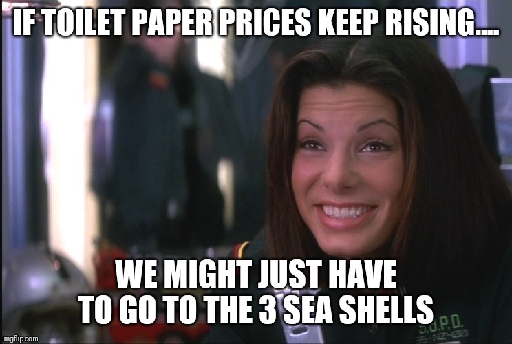 Demolition Man Sandra Bullock goofy smile | IF TOILET PAPER PRICES KEEP RISING.... WE MIGHT JUST HAVE TO GO TO THE 3 SEA SHELLS | image tagged in demolition man sandra bullock goofy smile | made w/ Imgflip meme maker