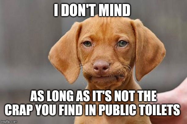 Dissapointed puppy | I DON'T MIND AS LONG AS IT'S NOT THE CRAP YOU FIND IN PUBLIC TOILETS | image tagged in dissapointed puppy | made w/ Imgflip meme maker