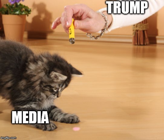 cat laser pointer | TRUMP; MEDIA | image tagged in cat laser pointer | made w/ Imgflip meme maker