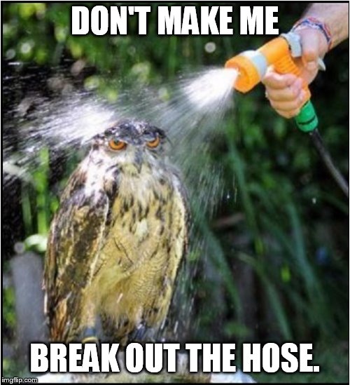 cool shower | DON'T MAKE ME; BREAK OUT THE HOSE. | image tagged in cool shower | made w/ Imgflip meme maker