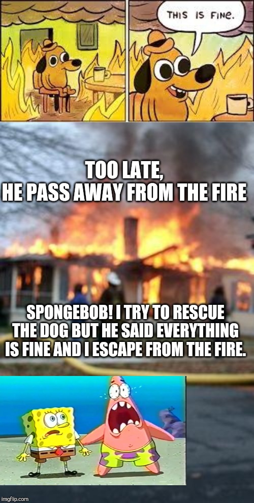 TOO LATE,
HE PASS AWAY FROM THE FIRE; SPONGEBOB! I TRY TO RESCUE THE DOG BUT HE SAID EVERYTHING IS FINE AND I ESCAPE FROM THE FIRE. | image tagged in memes,disaster girl,this is fine | made w/ Imgflip meme maker