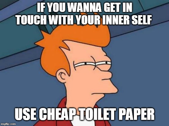 Futurama Fry | IF YOU WANNA GET IN TOUCH WITH YOUR INNER SELF; USE CHEAP TOILET PAPER | image tagged in memes,futurama fry | made w/ Imgflip meme maker