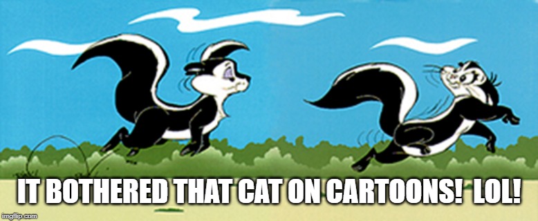 IT BOTHERED THAT CAT ON CARTOONS!  LOL! | made w/ Imgflip meme maker
