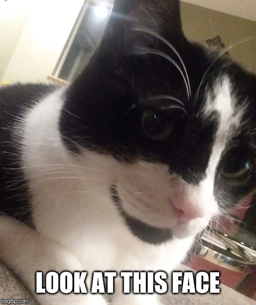 LOOK AT THIS FACE | made w/ Imgflip meme maker