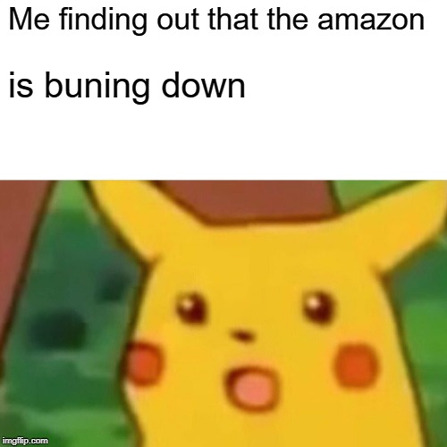 Surprised Pikachu Meme | Me finding out that the amazon; is buning down | image tagged in memes,surprised pikachu | made w/ Imgflip meme maker