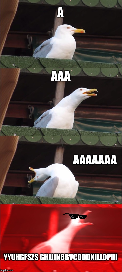 Inhaling Seagull Meme | A; AAA; AAAAAAA; YYUHGFSZS GHJJJNBBVCDDDKILLOPIII | image tagged in memes,inhaling seagull | made w/ Imgflip meme maker