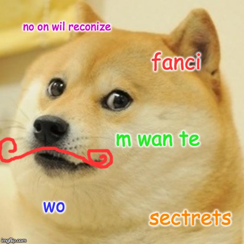Doge | no on wil reconize; fanci; m wan te; wo; sectrets | image tagged in memes,doge | made w/ Imgflip meme maker