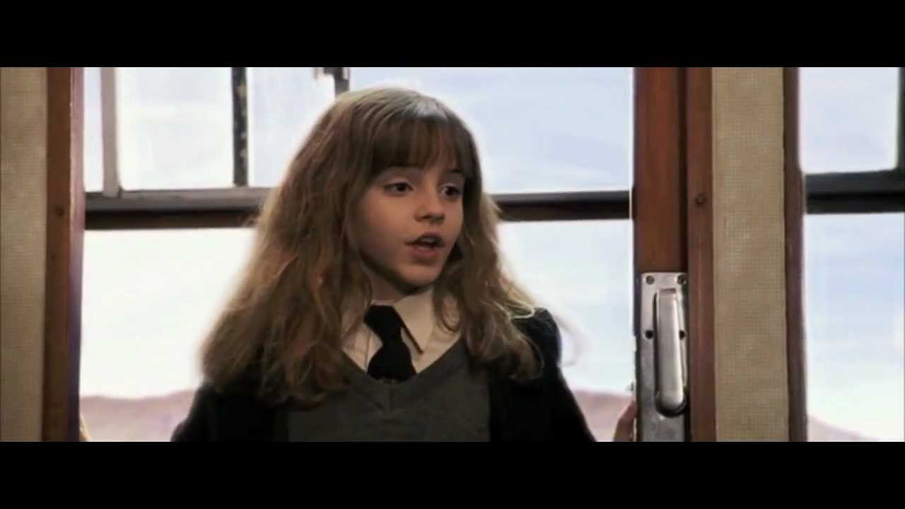 High Quality Hermione Blank Meme Template