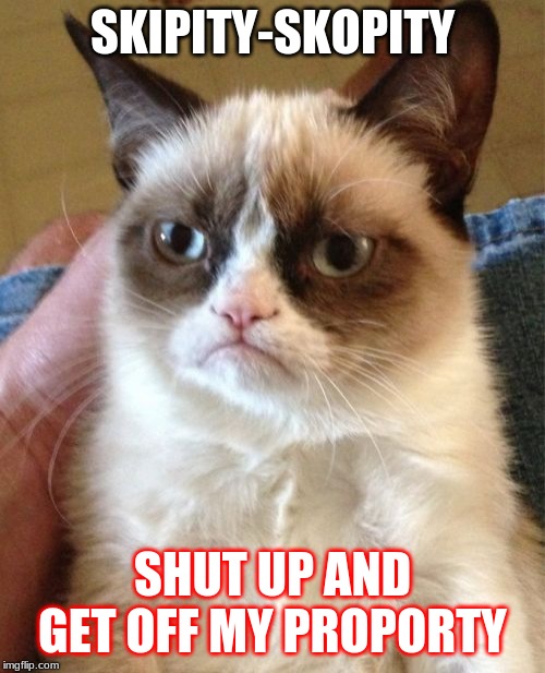 Grumpy Cat | SKIPITY-SKOPITY; SHUT UP AND GET OFF MY PROPORTY | image tagged in memes,grumpy cat | made w/ Imgflip meme maker