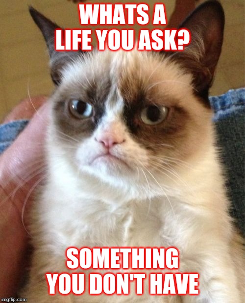 Grumpy Cat | WHATS A LIFE YOU ASK? SOMETHING YOU DON'T HAVE | image tagged in memes,grumpy cat | made w/ Imgflip meme maker