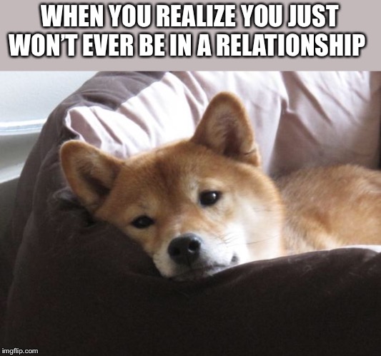 Sad Doge | WHEN YOU REALIZE YOU JUST WON’T EVER BE IN A RELATIONSHIP | image tagged in sad doge | made w/ Imgflip meme maker