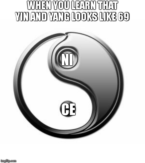 niCe NIcE | WHEN YOU LEARN THAT YIN AND YANG LOOKS LIKE 69; NI; CE | image tagged in ying yang,69,porn,nice | made w/ Imgflip meme maker