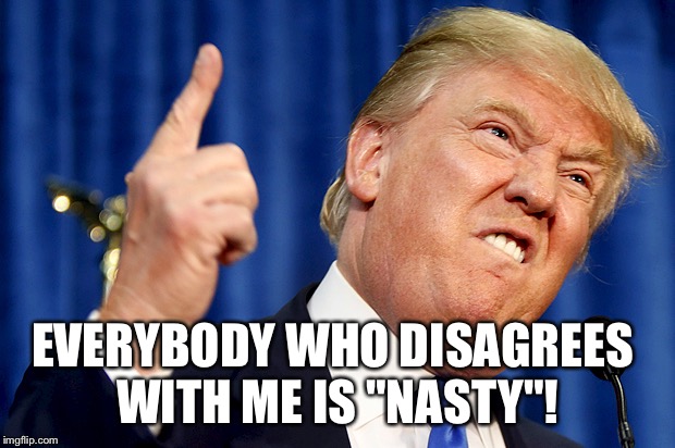Donald Trump | EVERYBODY WHO DISAGREES 
WITH ME IS "NASTY"! | image tagged in donald trump | made w/ Imgflip meme maker