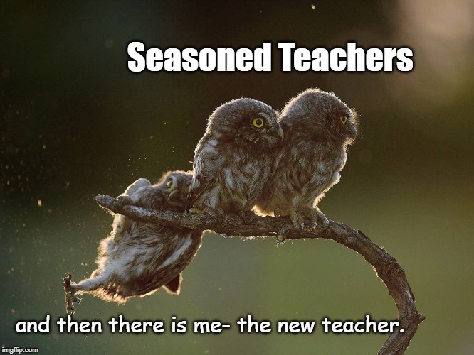 New Teacher Stress | Seasoned Teachers; and then there is me- the new teacher. | made w/ Imgflip meme maker